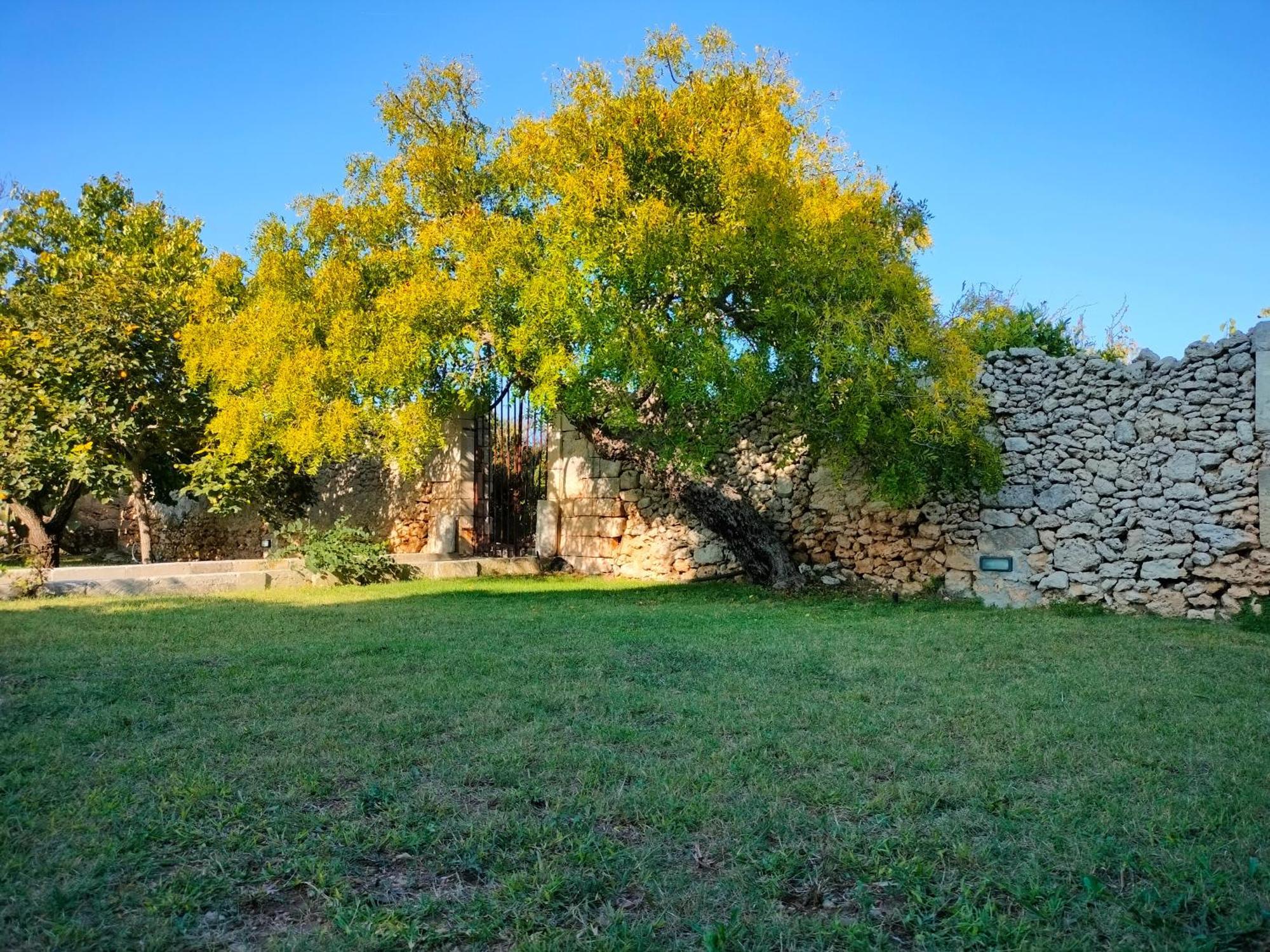 فندق Masseria Furca أليميني المظهر الخارجي الصورة